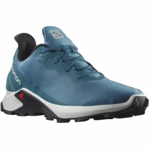 Salomon Alphacross 3 Gtx W