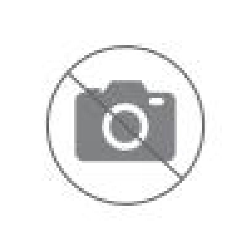 Haglöfs Roc Flash Mid Hood Women - Bilde 3